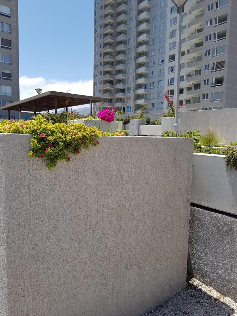 Hermoso Departamento Con Vista Al Mar Antofagasta Exteriér fotografie